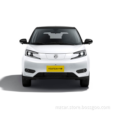 Young Guang Xiaoxin 2023 Model 302 km Oorspronkelijke versie van Pure Electric Mini Car Big Space Fast Charge 0.5H EV Auto